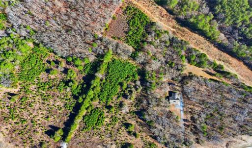 Photo #6 of 8015 US Highway 64, Thomasville, NC 44.6 acres