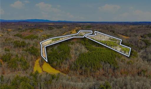 Photo #3 of 1324 Hardie Mabe, Danbury, NC 50.5 acres