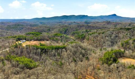 Photo #10 of 1324 Hardie Mabe, Danbury, NC 50.5 acres