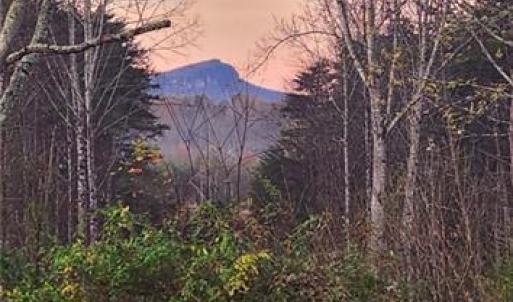 Photo #25 of 1324 Hardie Mabe, Danbury, NC 50.5 acres