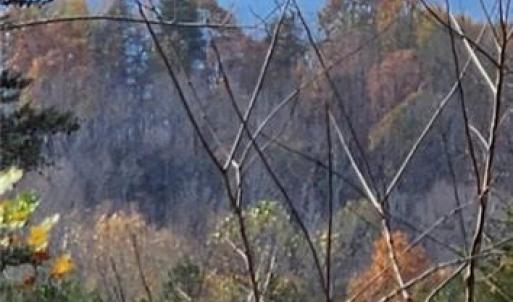 Photo #23 of 1324 Hardie Mabe, Danbury, NC 50.5 acres