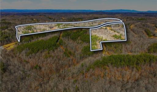 Photo #2 of 1324 Hardie Mabe, Danbury, NC 50.5 acres