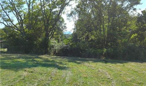 Photo #17 of 1324 Hardie Mabe, Danbury, NC 50.5 acres