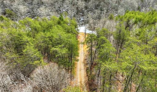 Photo #12 of 1324 Hardie Mabe, Danbury, NC 50.5 acres