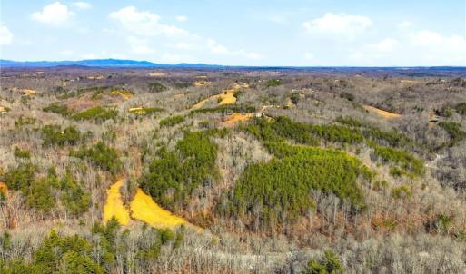 Photo #5 of 1324 Hardie Mabe, Danbury, NC 50.5 acres