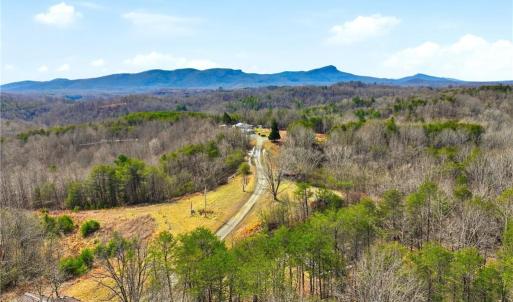 Photo #9 of 1324 Hardie Mabe, Danbury, NC 50.5 acres