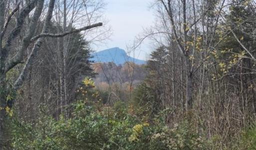 Photo #24 of 1324 Hardie Mabe, Danbury, NC 50.5 acres