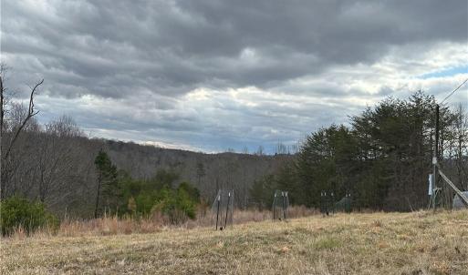 Photo #38 of 1324 Hardie Mabe, Danbury, NC 50.5 acres