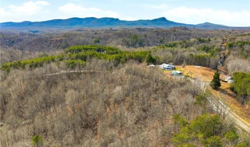 Photo #14 of 1324 Hardie Mabe, Danbury, NC 50.5 acres