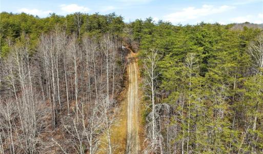 Photo #11 of 1324 Hardie Mabe, Danbury, NC 50.5 acres