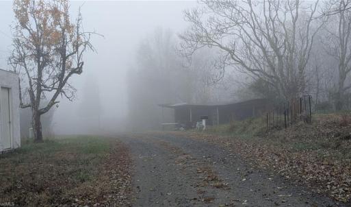 Photo #29 of 1324 Hardie Mabe, Danbury, NC 50.5 acres