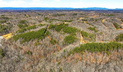 Photo #4 of 1324 Hardie Mabe, Danbury, NC 50.5 acres