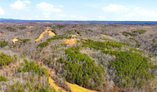 Photo #8 of 1324 Hardie Mabe, Danbury, NC 50.5 acres