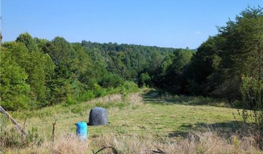Photo #17 of 1324 Hardie Mabe, Danbury, NC 50.5 acres