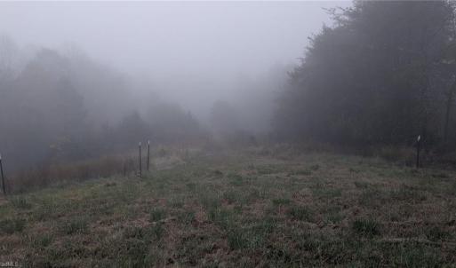 Photo #27 of 1324 Hardie Mabe, Danbury, NC 50.5 acres