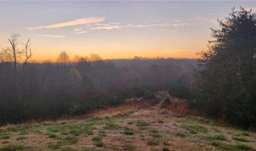 Photo #1 of 1324 Hardie Mabe, Danbury, NC 50.5 acres