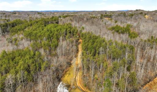 Photo #15 of 1324 Hardie Mabe, Danbury, NC 50.5 acres