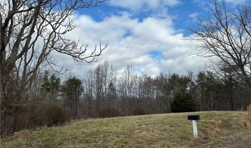 Photo #35 of 1324 Hardie Mabe, Danbury, NC 50.5 acres