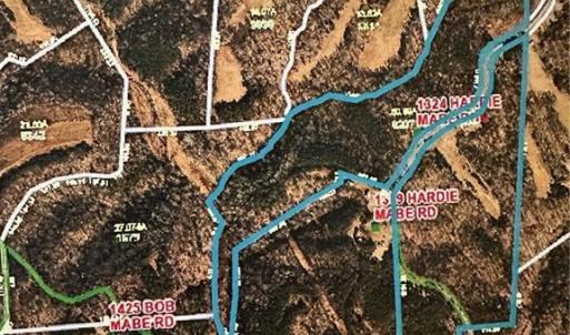 Photo #29 of 1324 Hardie Mabe, Danbury, NC 50.5 acres
