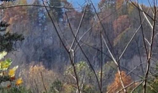 Photo #23 of 1324 Hardie Mabe, Danbury, NC 50.5 acres