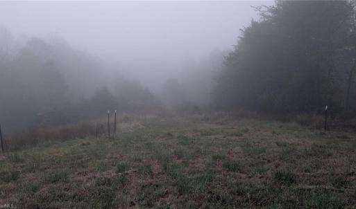 Photo #27 of 1324 Hardie Mabe, Danbury, NC 50.5 acres