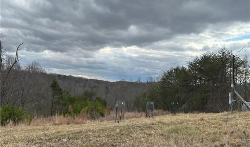 Photo #36 of 1324 Hardie Mabe, Danbury, NC 50.5 acres