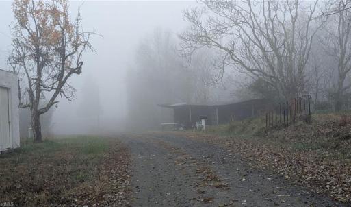 Photo #28 of 1324 Hardie Mabe, Danbury, NC 50.5 acres