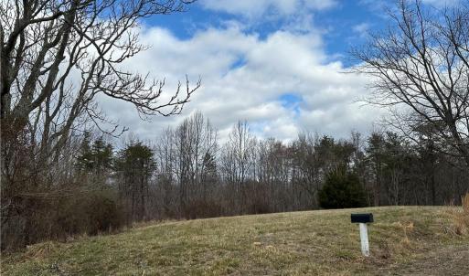 Photo #35 of 1324 Hardie Mabe, Danbury, NC 50.5 acres