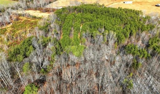 Photo #10 of Nc Highway 704, Lawsonville, NC 13.3 acres