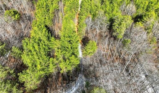 Photo #11 of Nc Highway 704, Lawsonville, NC 13.3 acres