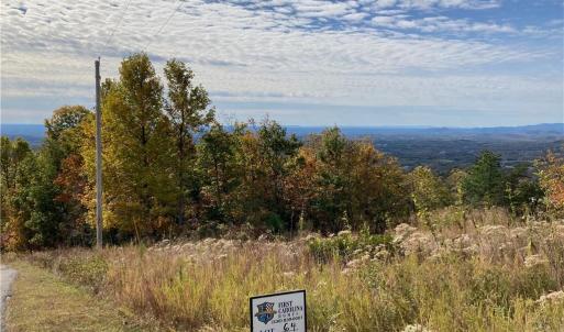 Local View