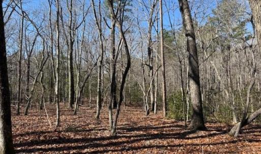 Photo #2 of Thayer, Troy, NC 4.4 acres