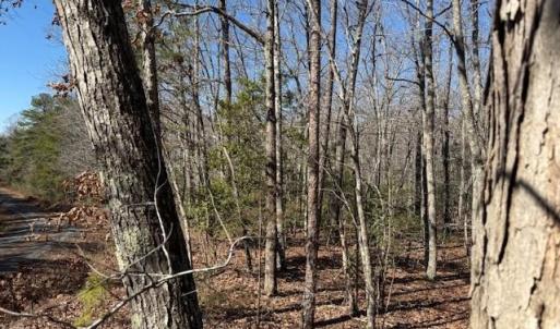 Photo #3 of Thayer, Troy, NC 4.4 acres