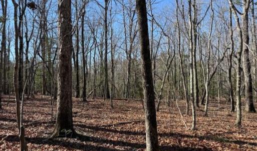 Photo #1 of Thayer, Troy, NC 4.4 acres