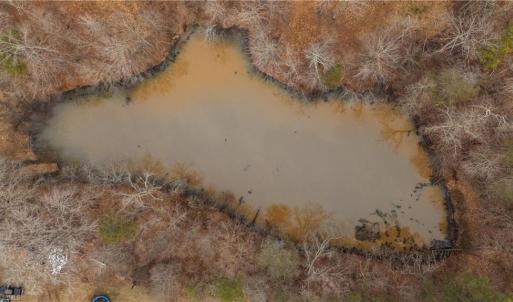 Photo #10 of Wellhouse, Walnut Cove, NC 12.6 acres