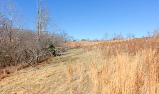 Photo #17 of 3 Roby Fulk, Pinnacle, NC 10.1 acres