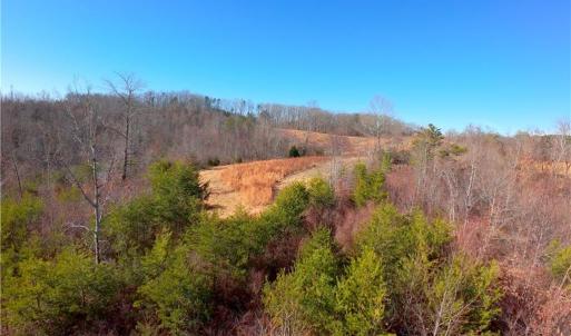 Photo #13 of 3 Roby Fulk, Pinnacle, NC 10.1 acres
