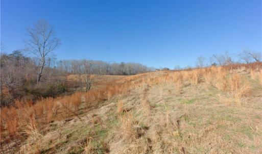 Photo #3 of 3 Roby Fulk, Pinnacle, NC 10.1 acres