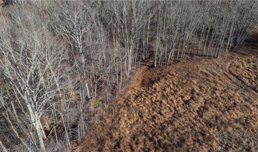 Photo #13 of 21 NC Highway 704, Madison, NC 15.0 acres