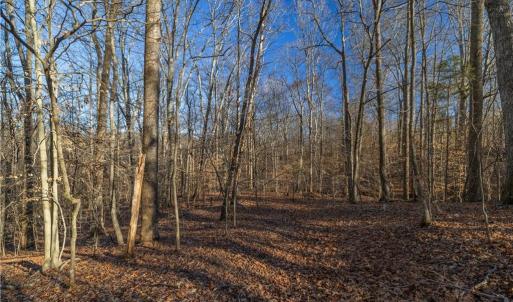 Photo #16 of 21 NC Highway 704, Madison, NC 15.0 acres