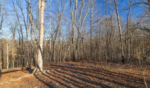 Photo #14 of 21 NC Highway 704, Madison, NC 15.0 acres
