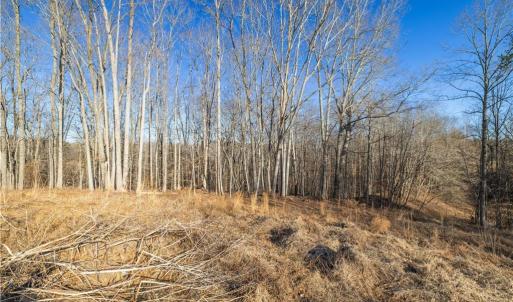 Photo #4 of 21 NC Highway 704, Madison, NC 15.0 acres