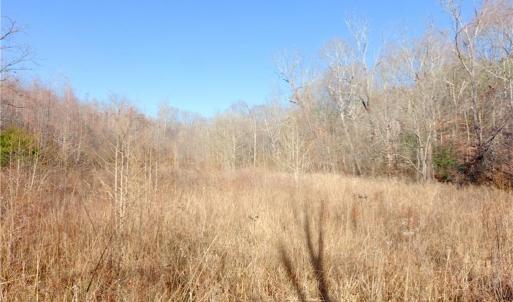 Photo #16 of 3-4 Roby Fulk, Pinnacle, NC 20.5 acres