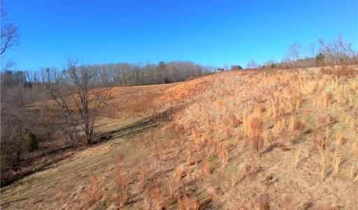 Photo #8 of 3-4 Roby Fulk, Pinnacle, NC 20.5 acres