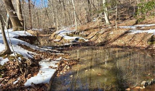 Photo #6 of Beechwood, Asheboro, NC 22.9 acres