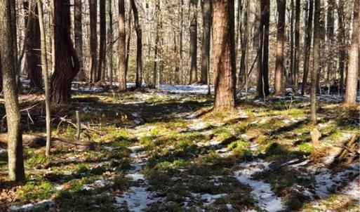 Photo #7 of Beechwood, Asheboro, NC 22.9 acres