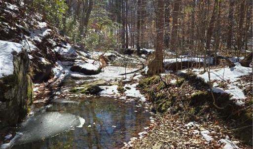 Photo #5 of Beechwood, Asheboro, NC 22.9 acres