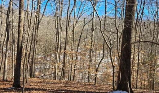 Photo #4 of Beechwood, Asheboro, NC 22.9 acres