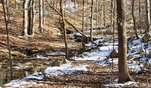 Photo #8 of Beechwood, Asheboro, NC 22.9 acres