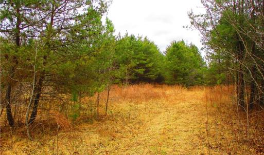 Walking path to the back of the property.